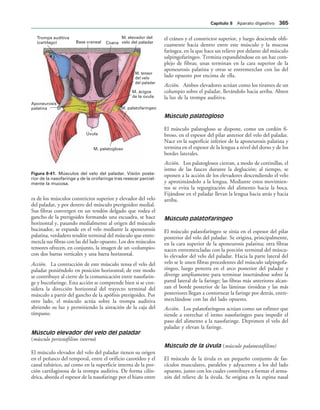 154017468-Anatomia-Humana-Garcia-Porrero-pdf.pdf