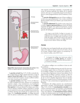 154017468-Anatomia-Humana-Garcia-Porrero-pdf.pdf