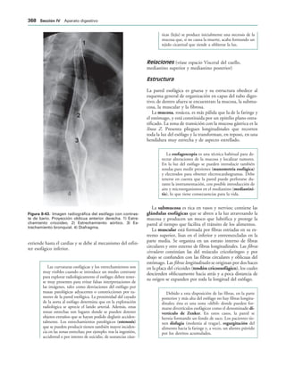 154017468-Anatomia-Humana-Garcia-Porrero-pdf.pdf