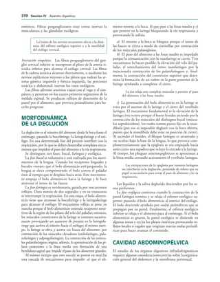 154017468-Anatomia-Humana-Garcia-Porrero-pdf.pdf