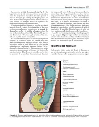 154017468-Anatomia-Humana-Garcia-Porrero-pdf.pdf