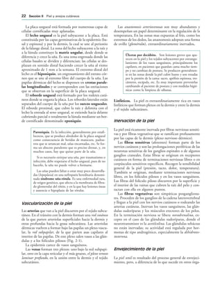 La placa ungueal está formada por numerosas capas de
células cornificadas muy aplanadas.
El lecho ungueal es la piel subyacente a la placa. Está
constituida por las capas germinativas de la epidermis (ba-
sal y espinosa) y por la dermis, la cual se une al periostio
de la falange distal. La zona del lecho subyacente a la raíz y
a la lúnula constituye la matriz ungular, desde donde se
diferencia y crece la uña. Es una zona engrosada donde las
células basales se dividen y diferencian; las células se des-
plazan en sentido distal haciendo crecer la uña al ritmo
aproximado de 1 mm a la semana. El extremo distal del
lecho es el hiponiquio, un engrosamiento del estrato cór-
neo que se une al extremo libre del cuerpo de la uña. Las
papilas dérmicas del lecho se disponen en crestas parale-
las longitudinales y se corresponden con las estriaciones
que se observan en la superficie de la placa ungueal.
El reborde ungueal está formado por los rodetes cutá-
neos donde se engasta la placa. Los rebordes laterales están
separados del cuerpo de la uña por los surcos ungueales.
El reborde proximal, que cubre la raíz y delimita con el
lecho la entrada al seno ungueal, se extiende hacia delante
cubriendo parcial o totalmente la lúnula mediante un bor-
de cornificado denominado eponiquio.
Paroniquia. Es la infección, generalmente por estafi-
lococos, que se produce alrededor de la placa ungueal
como consecuencia de heridas de manicura, padras-
tros que se arrancan mal, uñas encarnadas, etc. Se for-
ma un absceso purulento que es preciso drenar, y, en
muchos casos, hay que quitar parte de la uña.
Si es necesario extirpar una uña, por traumatismo o
infección, debe respetarse el lecho ungueal, pues de no
hacerlo, la uña no puede volver a formarse.
Las uñas pueden faltar o estar muy poco desarrolla-
das (hipoplasia) en una nefropatía hereditaria denomi-
nada síndrome uña-rótula. Es una enfermedad rara,
de origen genético, que afecta a la membrana de filtra-
do glomerular del riñón, y en la que hay lesiones óseas
y ausencia o hipoplasia de las rótulas.
Vascularización de la piel
Las arterias que van a la piel discurren por el tejido subcu-
táneo. En el tránsito con la dermis forman una red cutánea
de la que parten arteriolas superficiales hacia la dermis y
otras profundas hacia la grasa subcutánea. Las arteriolas
dérmicas vuelven a formar bajo las papilas un plexo vascu-
lar, la red subpapilar, de la que parten asas capilares al
interior de las papilas. De este plexo salen vasos a las glán-
dulas y a los folículos pilosos (Fig. 2-1).
La epidermis carece de vasos sanguíneos.
Las venas forman tres plexos: uno bajo la red subpapi-
lar, otro en la capa reticular y el más grueso, el plexo venoso
laminar profundo, en la unión entre la dermis y el tejido
subcutáneo.
Las anastomosis arteriovenosas son muy abundantes y
desempeñan un papel determinante en la regulación de la
temperatura. En las zonas mas expuestas al frío, como los
extremos de los dedos, las anastomosis adoptan una forma
de ovillo (glomérulos), extraordinariamente inervados.
Úlceras por decúbito. Son lesiones greves que apa-
recen en la piel y los tejidos subyacentes por estrangu-
lamiento de los vasos sanguíneos, principalmente los
capilares, en pacientes que guardan cama mucho tiem-
po y no cambian de postura. Se producen generalmen-
te en las zonas donde la piel cubre hueso y son rozadas
por la presión de la cama: sacro, apófisis espinosa, tro-
cánteres, escápula, etc. Es muy importante prevenirlas
cambiando al paciente de postura y con medidas higié-
nicas como la limpieza de sábanas.
Linfáticos. La piel es extraordinariamente rica en vasos
linfáticos que forman plexos en la dermis y entre la dermis
y el tejido subcutáneo.
Inervación de la piel
La piel está ricamente inervada por fibras nerviosas sensiti-
vas y por fibras vegetativas que se ramifican profusamente
por las capas de la dermis (plexo nervioso dérmico).
Las fibras sensitivas (aferentes) forman parte de los
nervios cutáneos y son las prolongaciones periféricas de las
neuronas sensitivas de los ganglios espinales o de algunos
ganglios craneales. Estas fibras se originan en receptores
cutáneos en forma de terminaciones nerviosas libres o en
corpúsculos sensitivos específicos. Recogen la sensibilidad
general de la piel (presión, tacto, dolor, temperatura).
También se originan, mediante terminaciones nerviosas
libres, en los folículos pilosos y en los vasos sanguíneos.
Las fibras del folículo piloso discurren por la superficie y
el interior de las vainas que cubren la raíz del pelo y con-
tactan con ella en algunos puntos.
Las fibras vegetativas son simpáticas posgangliona-
res. Proceden de los ganglios de la cadena laterovertebral
y llegan a la piel con los nervios cutáneos o rodeando las
arterias cutáneas. Inervan los vasos sanguíneos, las glán-
dulas sudoríparas y los músculos erectores de los pelos.
En la terminación nerviosa se libera noradrenalina, ex-
cepto en el caso de las glándulas sudoríparas, donde el
neurotransmisor es la acetilcolina. Las glándulas sebáceas
no están inervadas; su actividad está regulada por hor-
monas de tipo androgénico, especialmente la dihidrotes-
tosterona.
Envejecimiento de la piel
La piel senil es resultado del proceso general de envejeci-
miento, pero, a diferencia de lo que sucede en otros órga-
 3ECCIØN )) Piel y anejos cutáneos
 