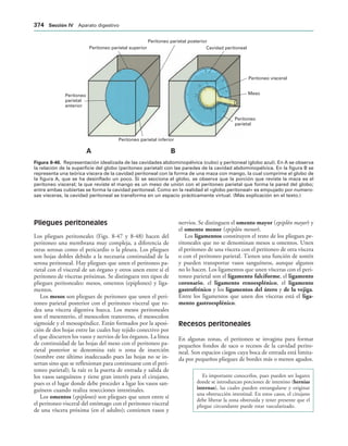 154017468-Anatomia-Humana-Garcia-Porrero-pdf.pdf