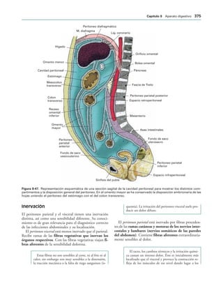 154017468-Anatomia-Humana-Garcia-Porrero-pdf.pdf