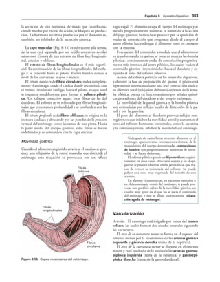 154017468-Anatomia-Humana-Garcia-Porrero-pdf.pdf