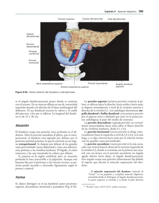 154017468-Anatomia-Humana-Garcia-Porrero-pdf.pdf