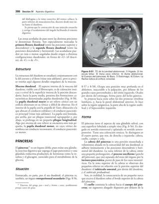 154017468-Anatomia-Humana-Garcia-Porrero-pdf.pdf