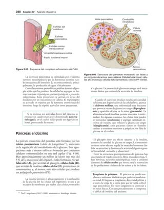 154017468-Anatomia-Humana-Garcia-Porrero-pdf.pdf