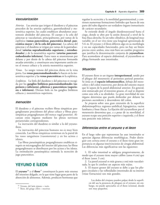 154017468-Anatomia-Humana-Garcia-Porrero-pdf.pdf