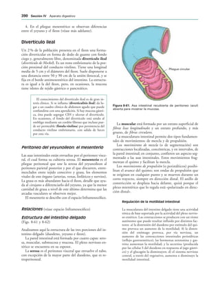 154017468-Anatomia-Humana-Garcia-Porrero-pdf.pdf