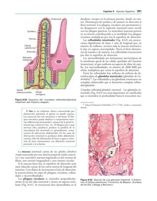 154017468-Anatomia-Humana-Garcia-Porrero-pdf.pdf