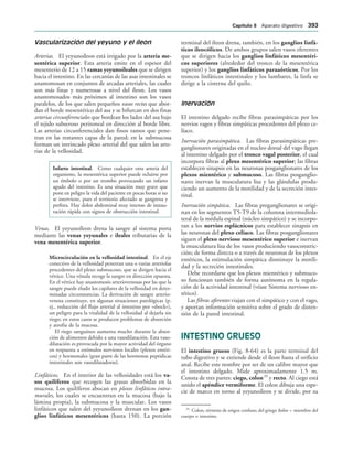 154017468-Anatomia-Humana-Garcia-Porrero-pdf.pdf