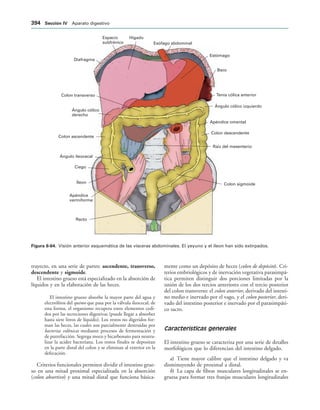 154017468-Anatomia-Humana-Garcia-Porrero-pdf.pdf