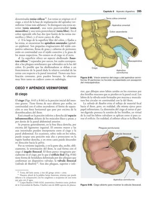154017468-Anatomia-Humana-Garcia-Porrero-pdf.pdf