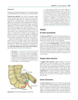 154017468-Anatomia-Humana-Garcia-Porrero-pdf.pdf