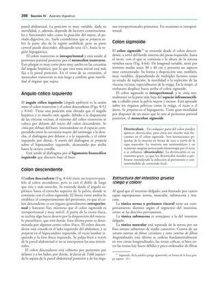 154017468-Anatomia-Humana-Garcia-Porrero-pdf.pdf