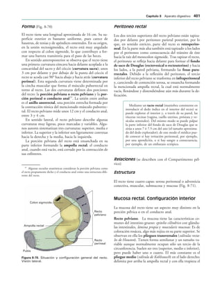 154017468-Anatomia-Humana-Garcia-Porrero-pdf.pdf