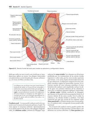154017468-Anatomia-Humana-Garcia-Porrero-pdf.pdf