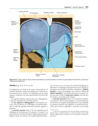 154017468-Anatomia-Humana-Garcia-Porrero-pdf.pdf