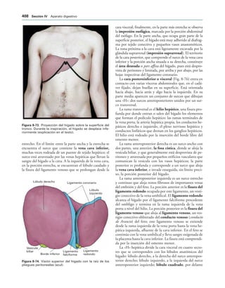 154017468-Anatomia-Humana-Garcia-Porrero-pdf.pdf