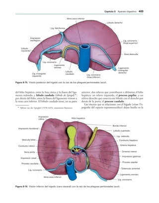 154017468-Anatomia-Humana-Garcia-Porrero-pdf.pdf