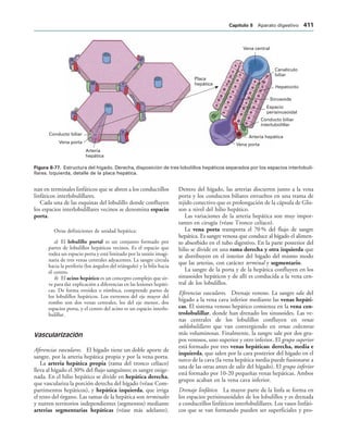 154017468-Anatomia-Humana-Garcia-Porrero-pdf.pdf