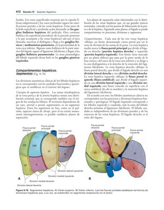 154017468-Anatomia-Humana-Garcia-Porrero-pdf.pdf