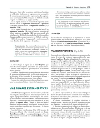 154017468-Anatomia-Humana-Garcia-Porrero-pdf.pdf