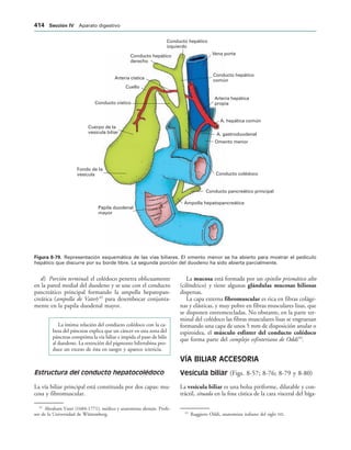 154017468-Anatomia-Humana-Garcia-Porrero-pdf.pdf