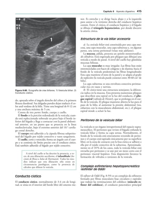 154017468-Anatomia-Humana-Garcia-Porrero-pdf.pdf