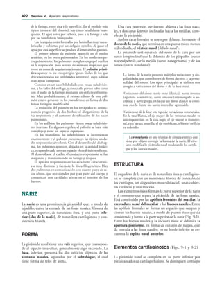 154017468-Anatomia-Humana-Garcia-Porrero-pdf.pdf