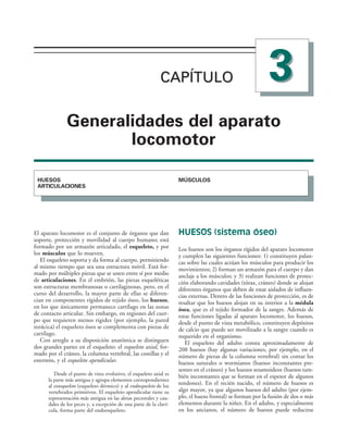 CAPÍTULO 
CAPÍTULO
'ENERALIDADES DEL APARATO
LOCOMOTOR
(5%3/3
!24)#5,!#)/.%3
-Â3#5,/3
El aparato locomotor es el conjunto de órganos que dan
soporte, protección y movilidad al cuerpo humano; está
formado por un armazón articulado, el esqueleto, y por
los músculos que lo mueven.
El esqueleto soporta y da forma al cuerpo, permitiendo
al mismo tiempo que sea una estructura móvil. Está for-
mado por múltiples piezas que se unen entre sí por medio
de articulaciones. En el embrión, las piezas esqueléticas
son estructuras membranosas o cartilaginosas, pero, en el
curso del desarrollo, la mayor parte de ellas se diferen-
cian en componentes rígidos de tejido óseo, los huesos,
en los que únicamente permanece cartílago en las zonas
de contacto articular. Sin embargo, en regiones del cuer-
po que requieren menos rigidez (por ejemplo, la pared
torácica) el esqueleto óseo se complementa con piezas de
cartílago.
Con arreglo a su disposición anatómica se distinguen
dos grandes partes en el esqueleto: el esqueleto axial, for-
mado por el cráneo, la columna vertebral, las costillas y el
esternón, y el esqueleto apendicular.
Desde el punto de vista evolutivo, el esqueleto axial es
la parte más antigua y agrupa elementos correspondientes
al exosqueleto (esqueleto dérmico) y al endosqueleto de los
vertebrados primitivos. El esqueleto apendicular tiene su
representación más antigua en las aletas pectorales y cau-
dales de los peces y, a excepción de una parte de la claví-
cula, forma parte del endoesqueleto.
HUESOS (sistema óseo)
Los huesos son los órganos rígidos del aparato locomotor
y cumplen las siguientes funciones: 1) constituyen palan-
cas sobre las cuales actúan los músculos para producir los
movimientos; 2) forman un armazón para el cuerpo y dan
anclaje a los músculos; y 3) realizan funciones de protec-
ción elaborando cavidades (tórax, cráneo) donde se alojan
diferentes órganos que deben de estar aislados de influen-
cias externas. Dentro de las funciones de protección, es de
resaltar que los huesos alojan en su interior a la médula
ósea, que es el tejido formador de la sangre. Además de
estas funciones ligadas al aparato locomotor, los huesos,
desde el punto de vista metabólico, constituyen depósitos
de calcio que puede ser movilizado a la sangre cuando es
requerido en el organismo.
El esqueleto del adulto consta aproximadamente de
208 huesos (hay algunas variaciones, por ejemplo, en el
número de piezas de la columna vertebral) sin contar los
huesos suturales o wormianos (huesos inconstantes pre-
sentes en el cráneo) y los huesos sesamoideos (huesos tam-
bién inconstantes que se forman en el espesor de algunos
tendones). En el recién nacido, el número de huesos es
algo mayor, ya que algunos huesos del adulto (por ejem-
plo, el hueso frontal) se forman por la fusión de dos o más
elementos durante la niñez. En el adulto, y especialmente
en los ancianos, el número de huesos puede reducirse
 