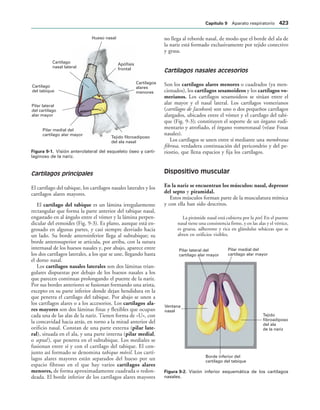 154017468-Anatomia-Humana-Garcia-Porrero-pdf.pdf