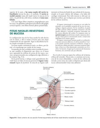 154017468-Anatomia-Humana-Garcia-Porrero-pdf.pdf