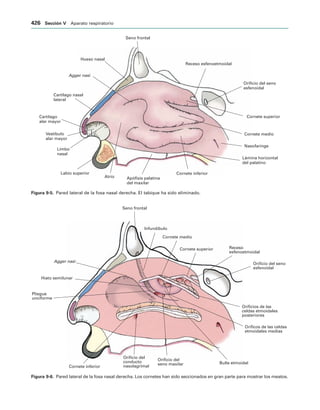 154017468-Anatomia-Humana-Garcia-Porrero-pdf.pdf