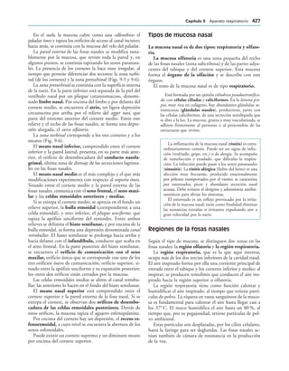 154017468-Anatomia-Humana-Garcia-Porrero-pdf.pdf