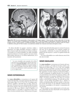 154017468-Anatomia-Humana-Garcia-Porrero-pdf.pdf