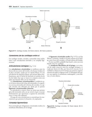 154017468-Anatomia-Humana-Garcia-Porrero-pdf.pdf