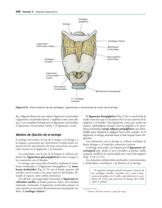 154017468-Anatomia-Humana-Garcia-Porrero-pdf.pdf