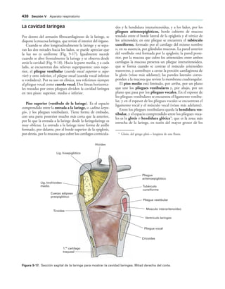 154017468-Anatomia-Humana-Garcia-Porrero-pdf.pdf