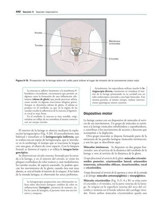 154017468-Anatomia-Humana-Garcia-Porrero-pdf.pdf