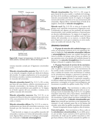 154017468-Anatomia-Humana-Garcia-Porrero-pdf.pdf