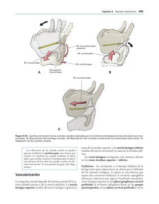 154017468-Anatomia-Humana-Garcia-Porrero-pdf.pdf