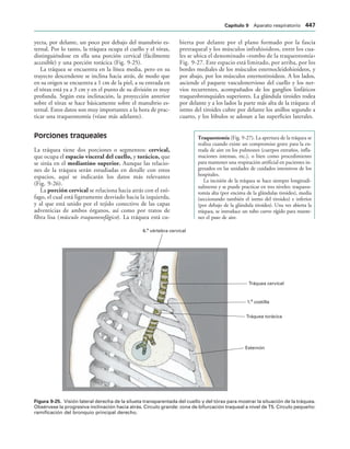 154017468-Anatomia-Humana-Garcia-Porrero-pdf.pdf