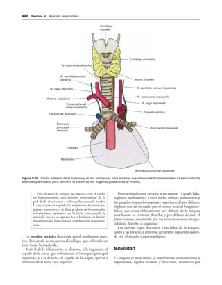 154017468-Anatomia-Humana-Garcia-Porrero-pdf.pdf