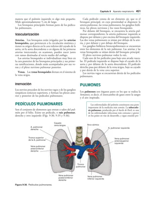 154017468-Anatomia-Humana-Garcia-Porrero-pdf.pdf