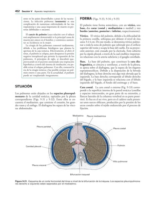 154017468-Anatomia-Humana-Garcia-Porrero-pdf.pdf