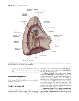 154017468-Anatomia-Humana-Garcia-Porrero-pdf.pdf