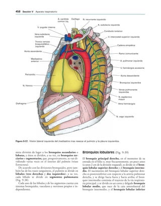 154017468-Anatomia-Humana-Garcia-Porrero-pdf.pdf