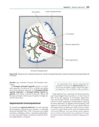 154017468-Anatomia-Humana-Garcia-Porrero-pdf.pdf